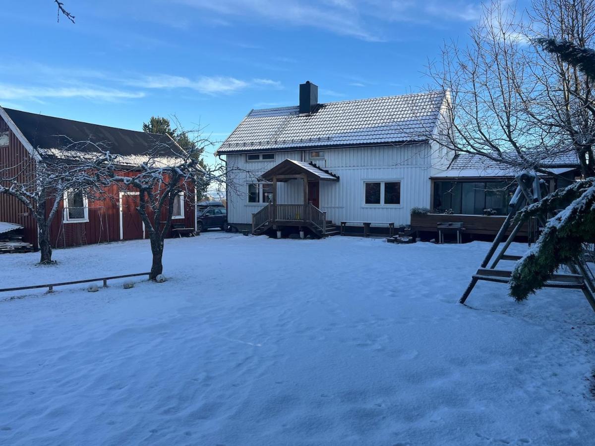 Older Villa With Large Garden Trondheim Buitenkant foto