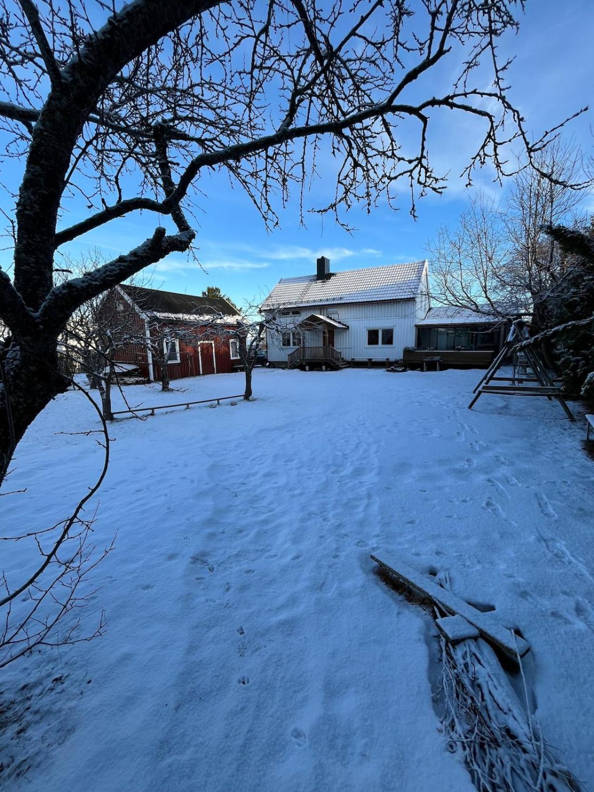Older Villa With Large Garden Trondheim Buitenkant foto